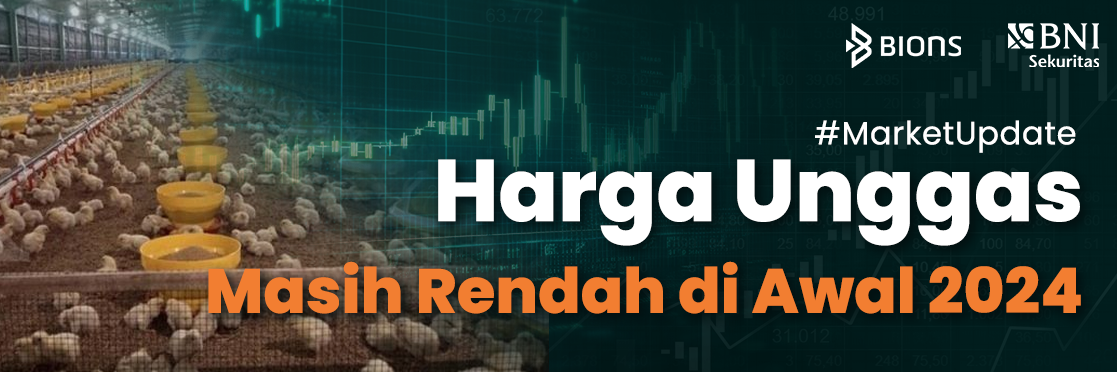 Harga Unggas Masih Rendah di Awal 2024